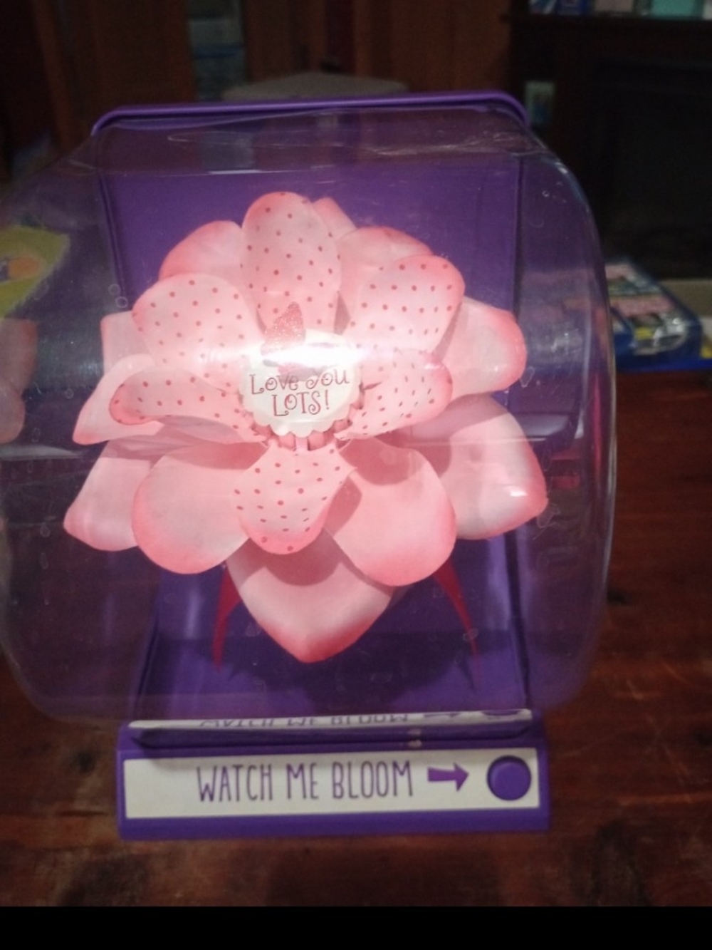 Pink Blooming Rose Gift - 'Love You Lots'